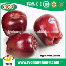 2015 nuevas manzanas frescas de la cosecha roja de China